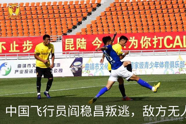 中国飞行员阎稳昌叛逃，敌方无人接应，最后撞山，结局悲惨，机毁人亡